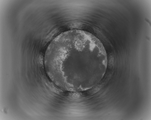 X0000100500282200806271306