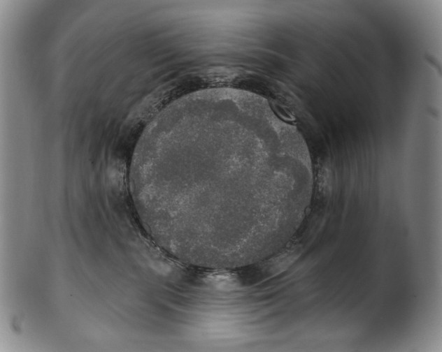 X0000100500283200806271306