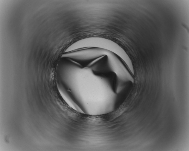 X0000100500284200806271306