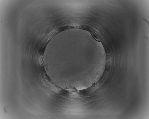 X0000100500285200806271306