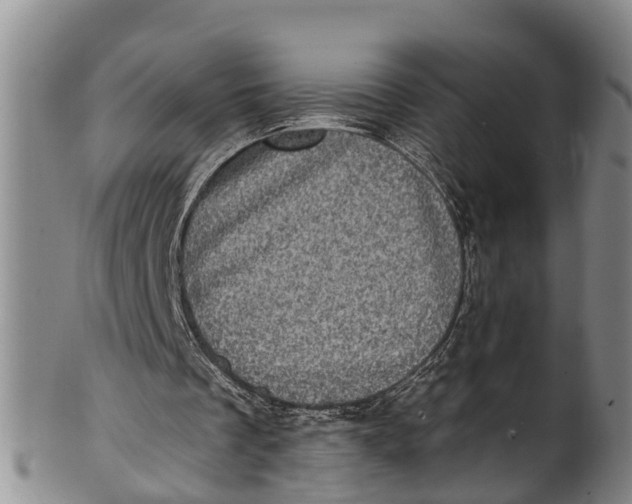 X0000100500289200806271305