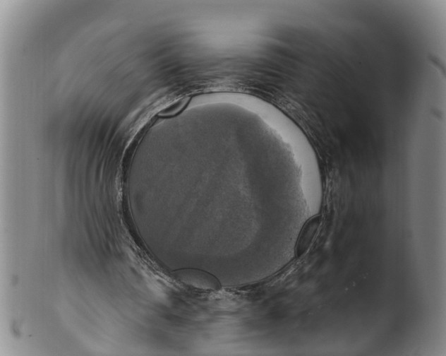 X0000100500290200806271305