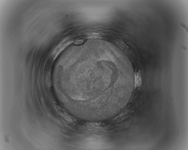 X0000100500291200806271305