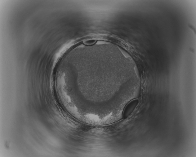 X0000100500294200806271305