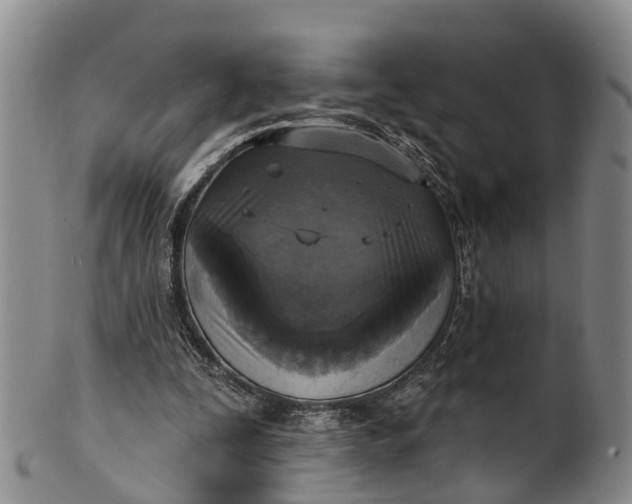 X0000100500295200806271305