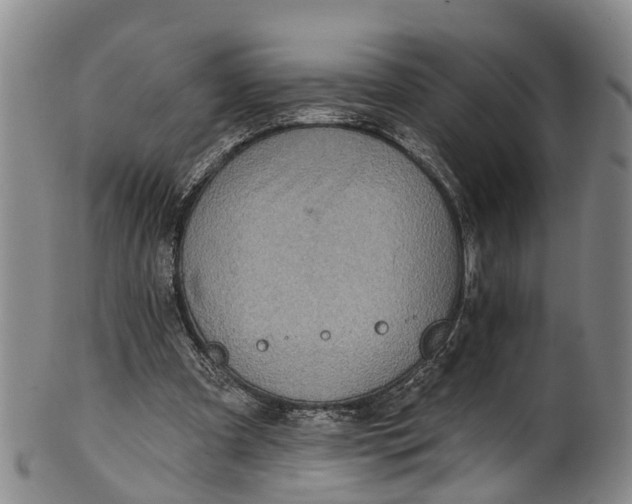 X0000100500297200806271305