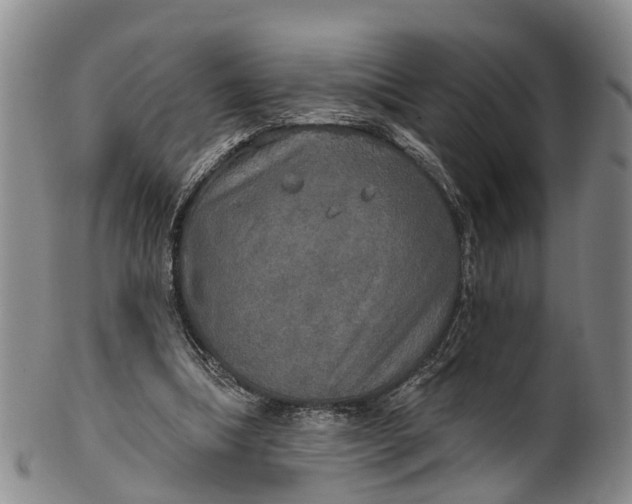 X0000100500298200806271305