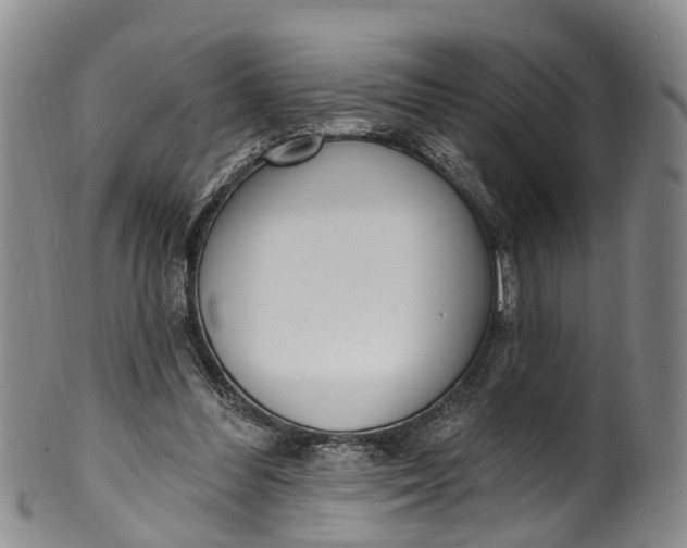 X0000100500300200806271305