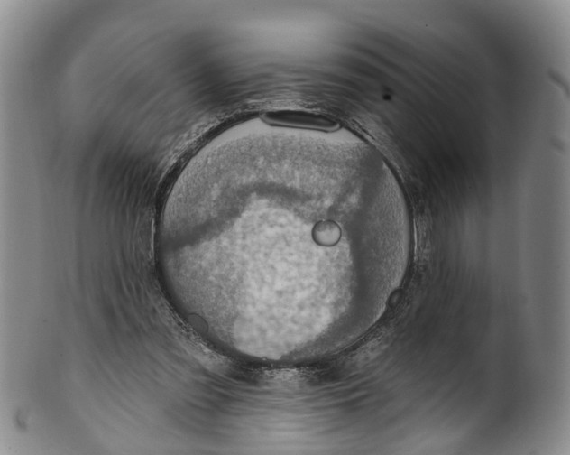 X0000100500301200806271305