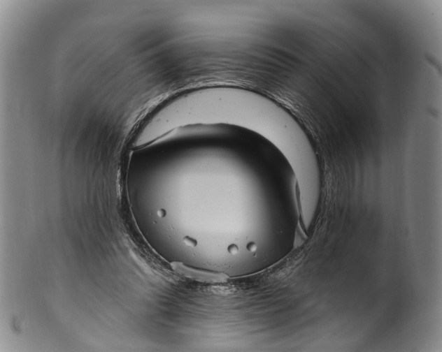 X0000100500302200806271305