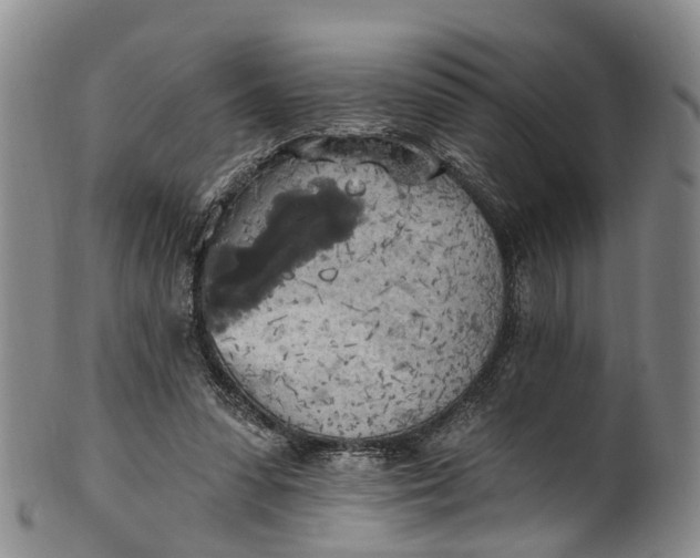 X0000100500303200806271305