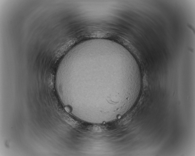 X0000100500305200806271305