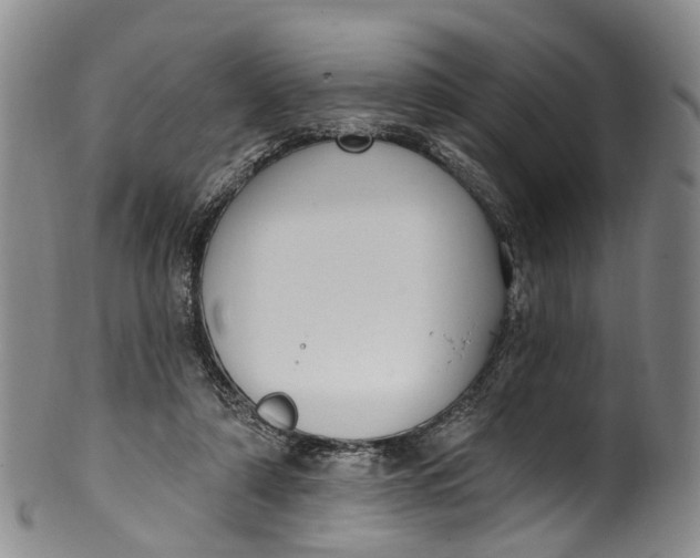 X0000100500306200806271305