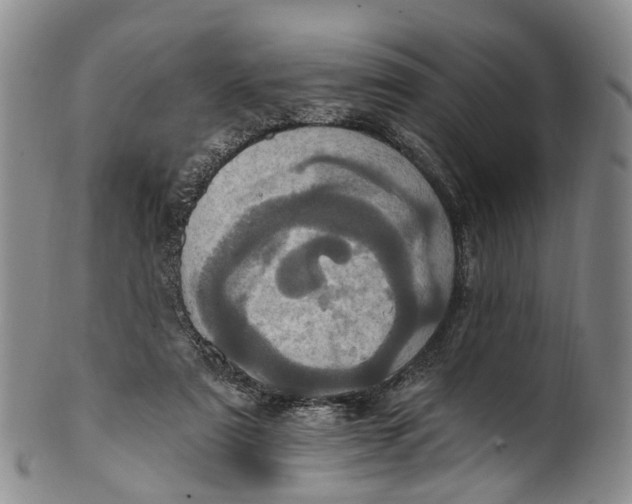 X0000100500307200806271305