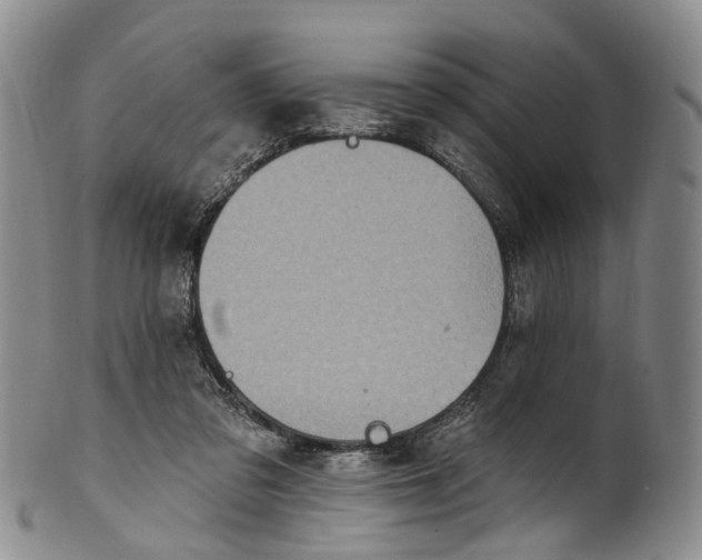 X0000100500309200806271305