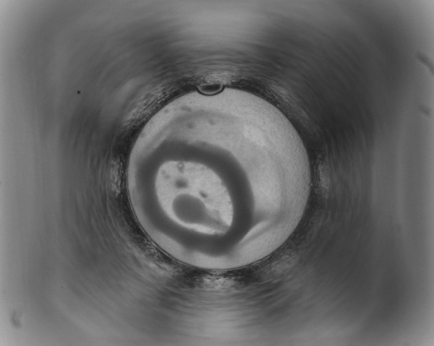 X0000100500311200806271305