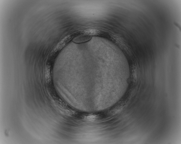 X0000100500312200806271305