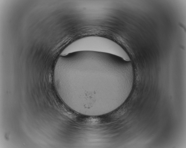 X0000100500313200806271305