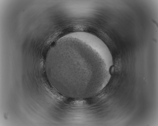 X0000100500314200806271305