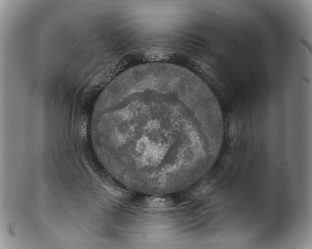 X0000100500315200806271305