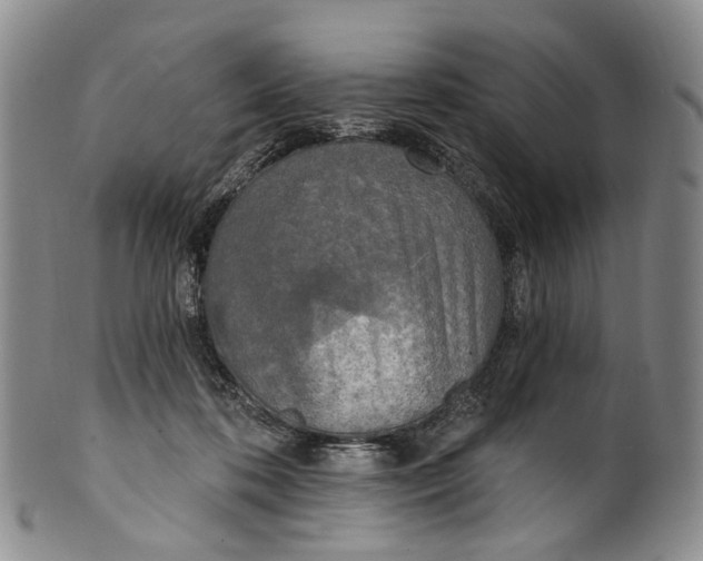 X0000100500316200806271305