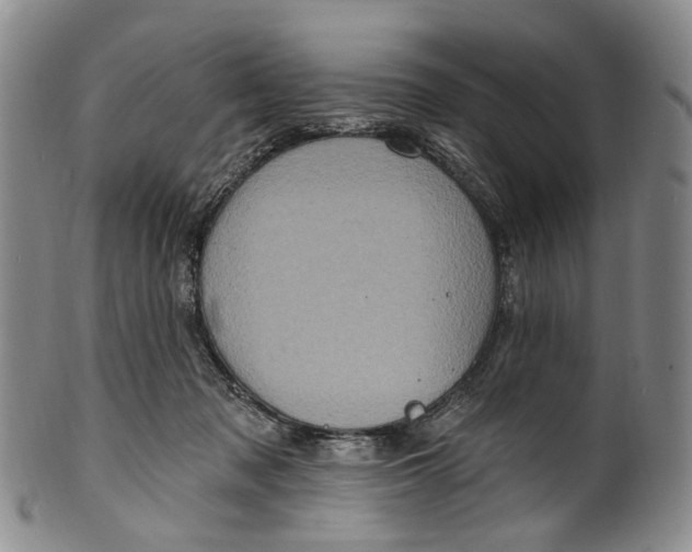 X0000100500317200806271305