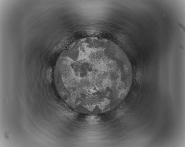 X0000100500319200806271305