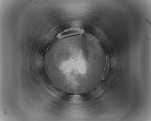 X0000100500320200806271305