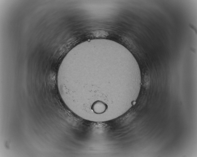 X0000100500321200806271305