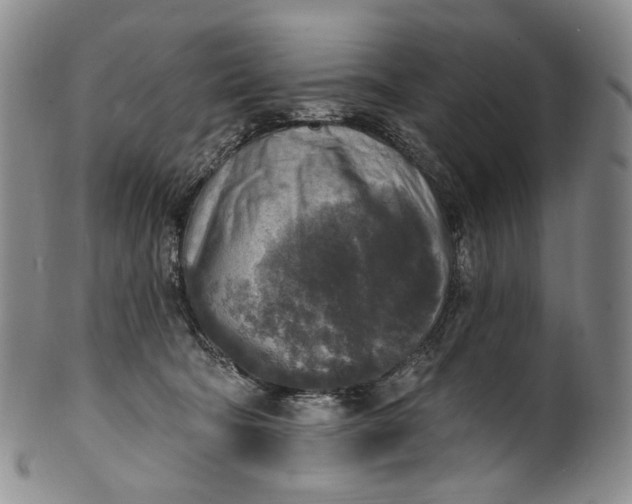 X0000100500322200806271305