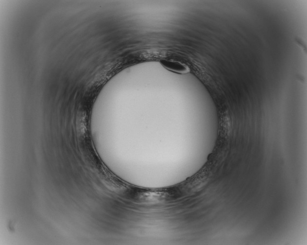 X0000100500323200806271305