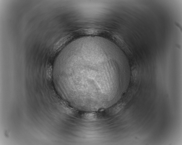 X0000100500325200806271304