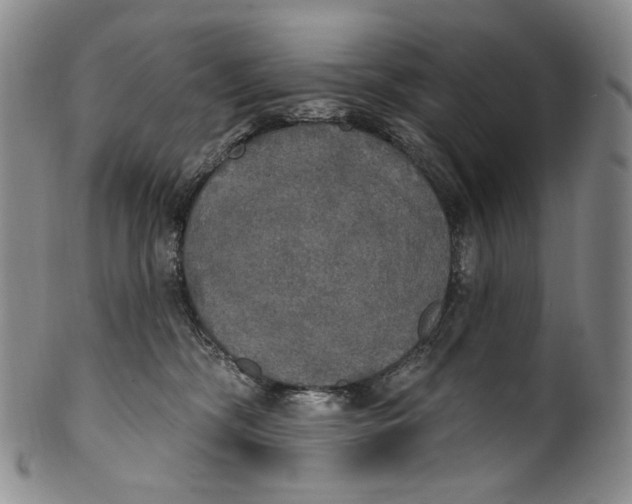 X0000100500326200806271304