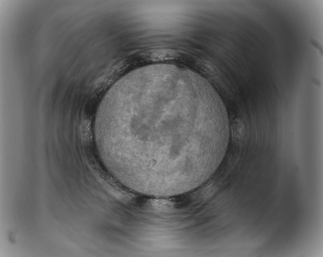 X0000100500327200806271304