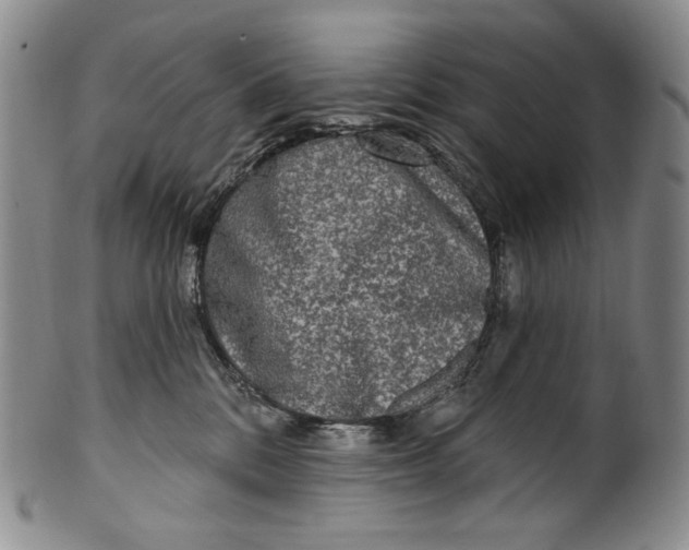 X0000100500328200806271304