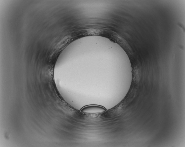 X0000100500329200806271304