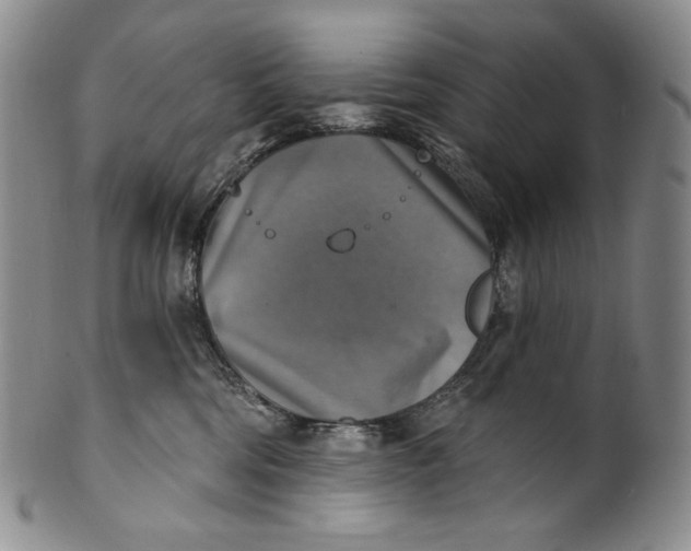 X0000100500330200806271304