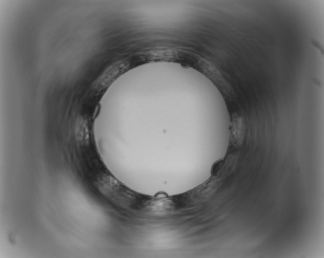 X0000100500333200806271304