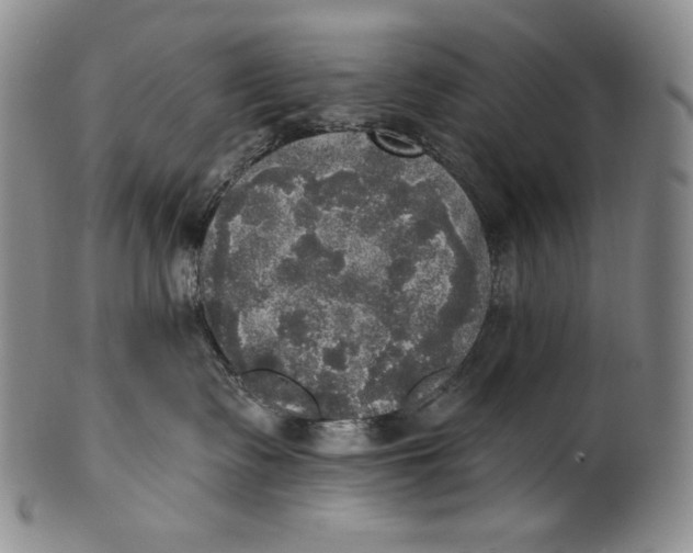 X0000100500335200806271304