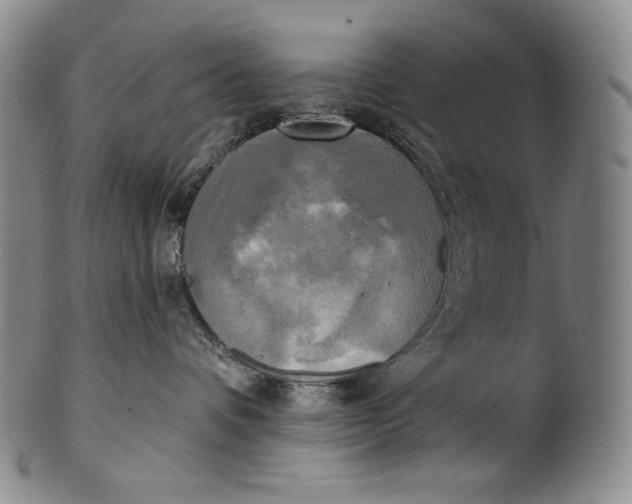 X0000100500336200806271304