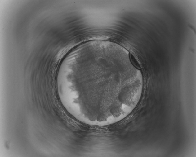 X0000100500337200806271304