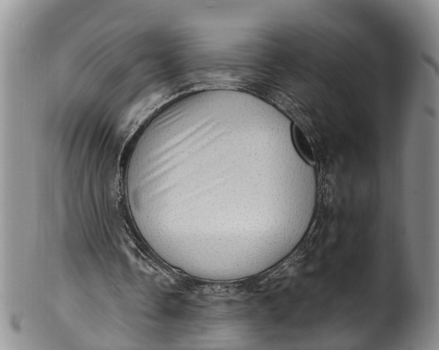 X0000100500338200806271304