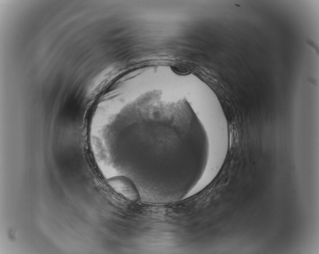 X0000100500339200806271304