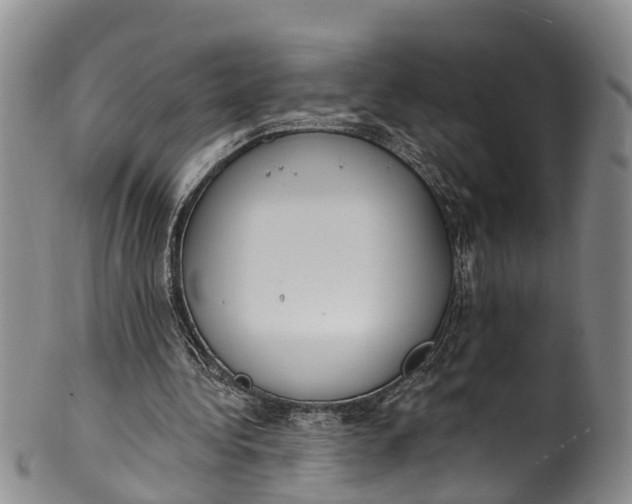 X0000100500340200806271304