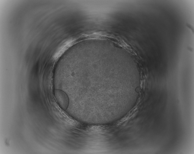 X0000100500341200806271304