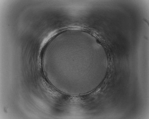 X0000100500343200806271304