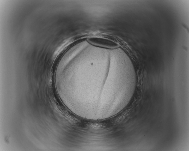 X0000100500344200806271304