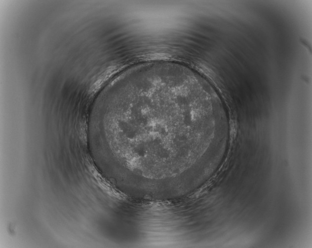 X0000100500345200806271304