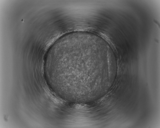 X0000100500346200806271304