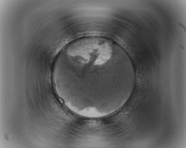 X0000100500347200806271304